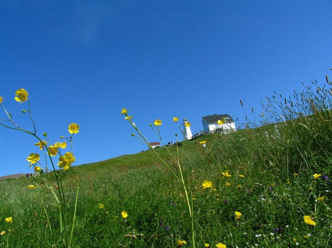 Travel Photography of Cape Spear Lighthouse in St. John's, Newfoundland, Canada by Tom Bochsler Photo Imaging
